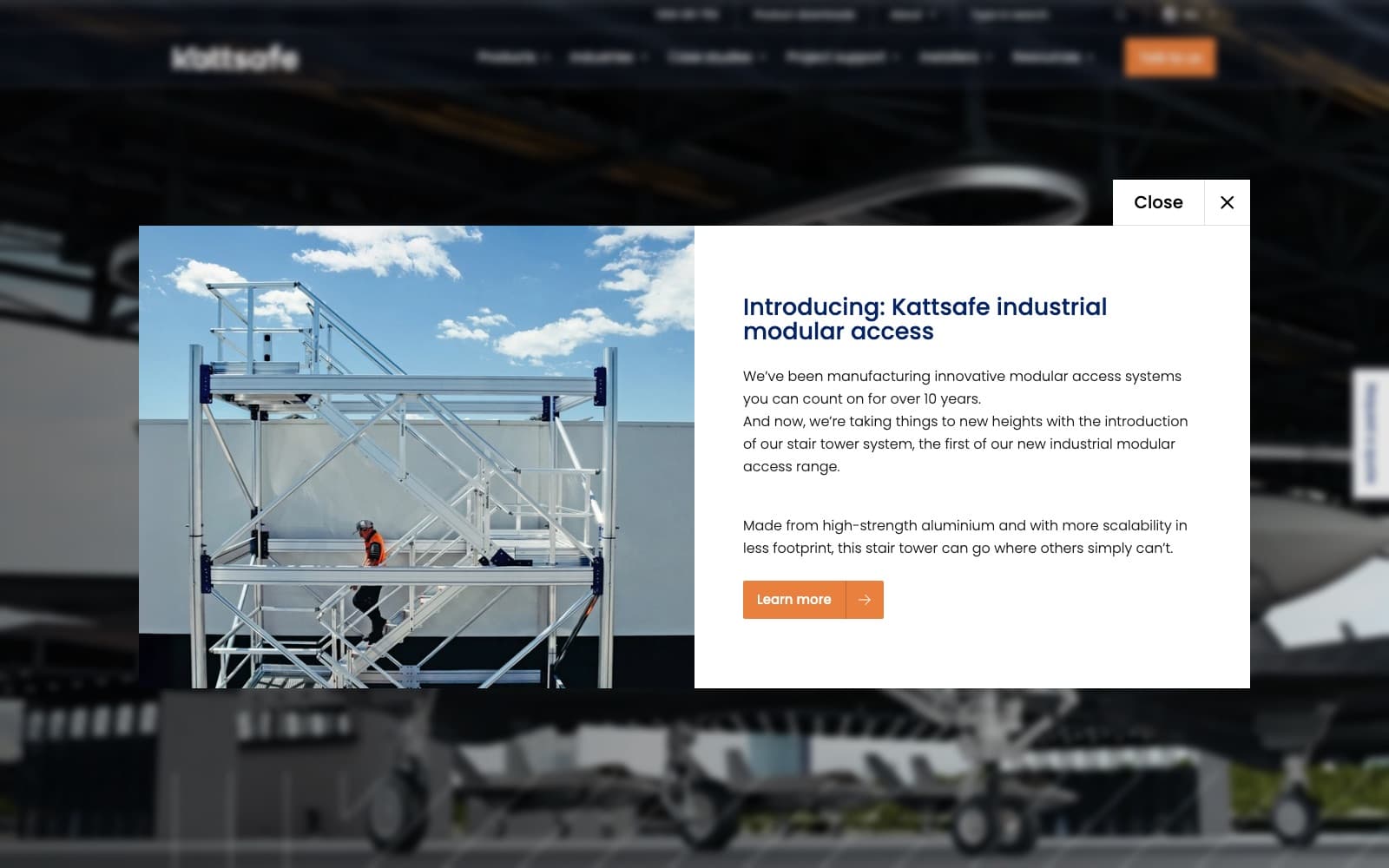 Kattsafe website